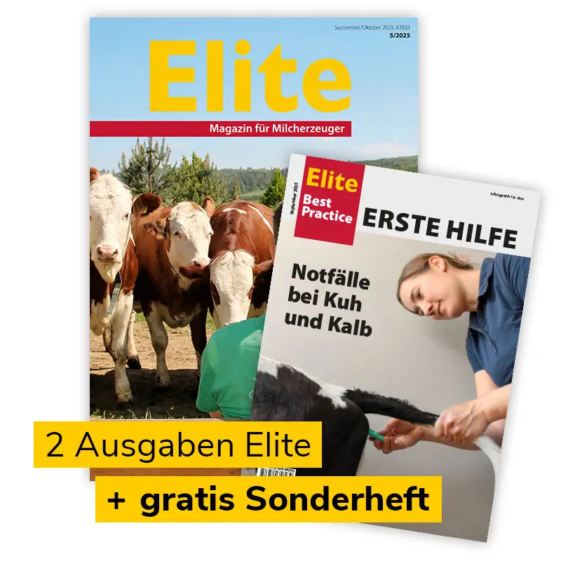 Elite und Elite Best-Practice abbildung